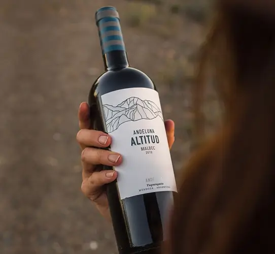 Bodega Andeluna, en Tupungato, Valle de Uco, Mendoza