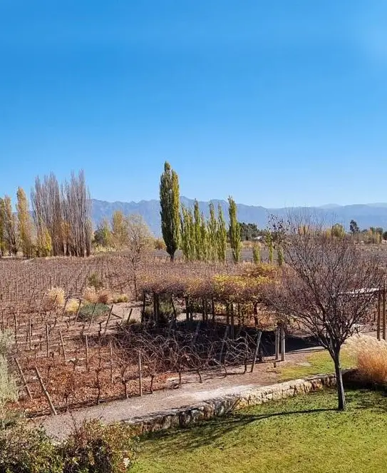 Bodega Cruzat, en Perdriel, Luján de Cuyo, Mendoza