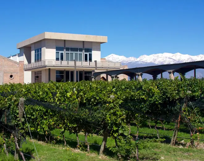 Bodega Domaine Bousquet, en Valle de Uco, Mendoza