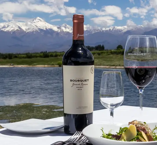 Bodega Domaine Bousquet, en Valle de Uco, Mendoza