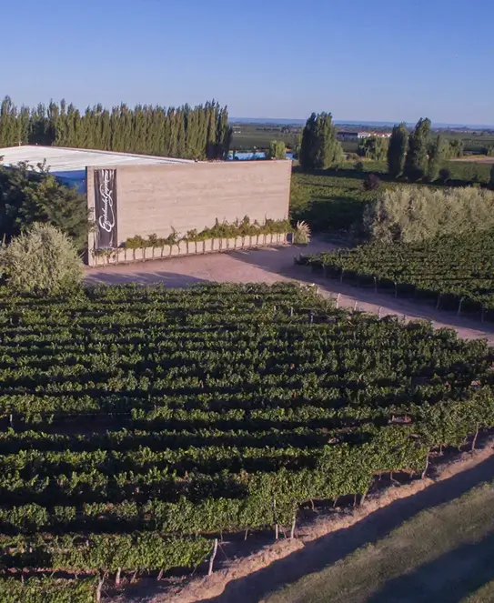 Bodega Escorihuela Gascón, en Godoy Cruz, Mendoza