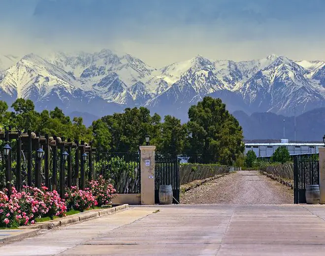 Bodega Finca Agostino Wines, en Mendoza