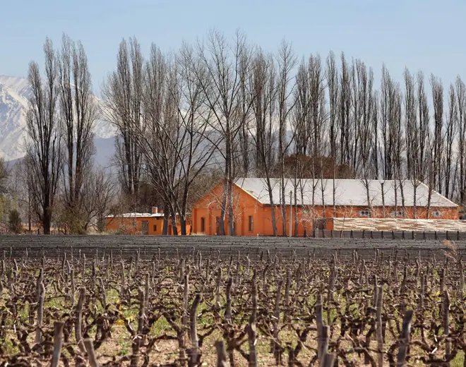 Bodega Finca La Anita, en Agrelo, Mendoza