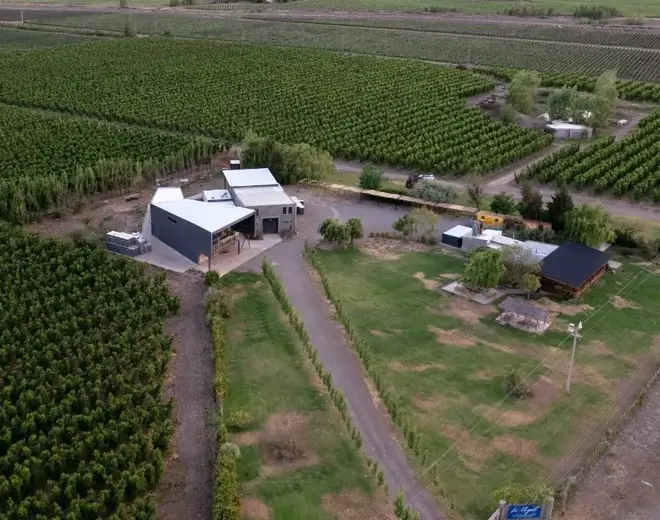 Bodega La Azul, en Tupungato, Mendoza