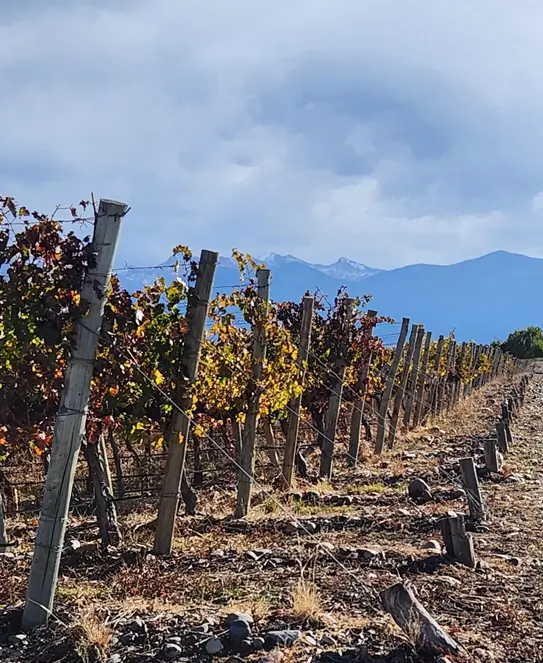 Bodega La Azul, en Tupungato, Mendoza