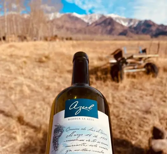 Bodega La Azul, en Tupungato, Mendoza