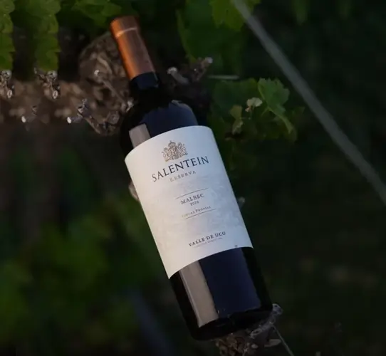 Bodegas Salentein, en Valle de Uco, Mendoza