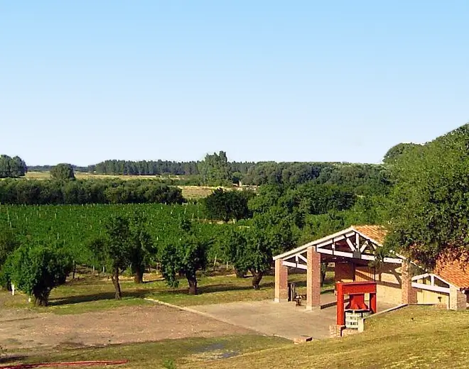 Al Este Bodega & Viñedos, en Médanos, Buenos Aires