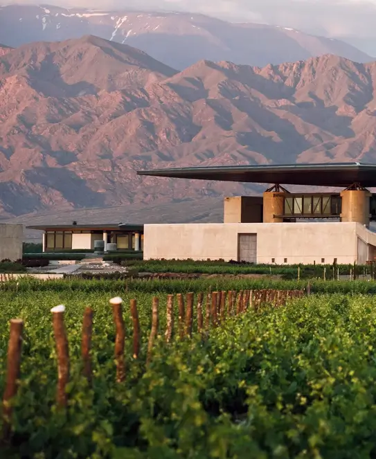 Bodega Alfa Crux, en Valle de Uco, Mendoza