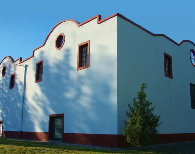 Bodega Infinitus en el Alto Valle de Río Negro