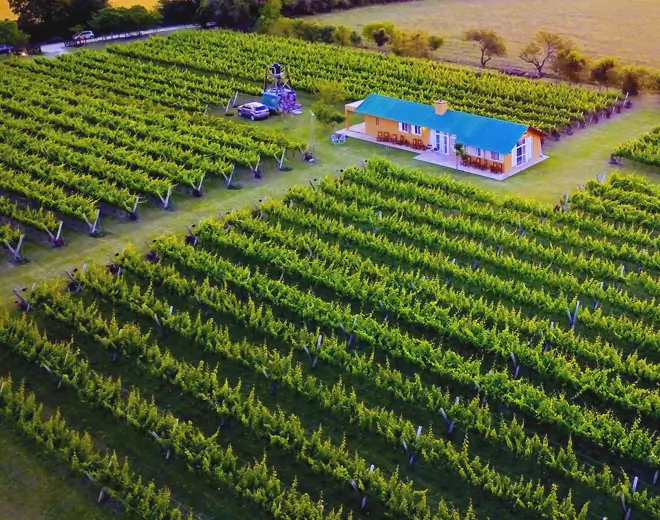 Bodega Los Aromitos, en Colonia Ensayo, Entre Ríos