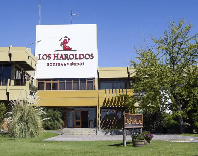 Bodega Los Haroldos, en San Martín, Mendoza