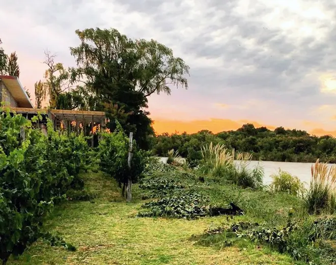 Bodega Videla Dorna, en el Valle Medio del Río Negro