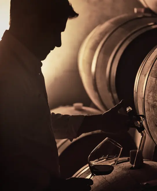 Bodegas Budeguer, en Agrelo, Luján de Cuyo, Mendoza