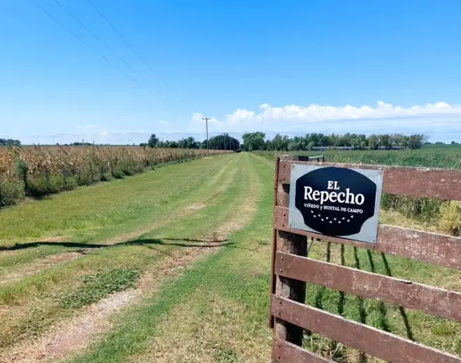 Bodega El Repecho, en Aldea San Miguel, Entre Ríos