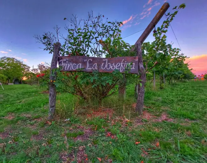 Bodega Finca La Josefina, en Entre Ríos