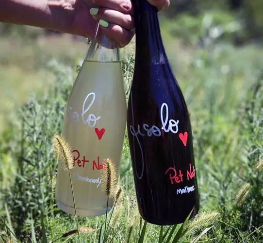 Fisolo Viñedo y Bodega Boutique en Aldea María Luisa, Entre Ríos