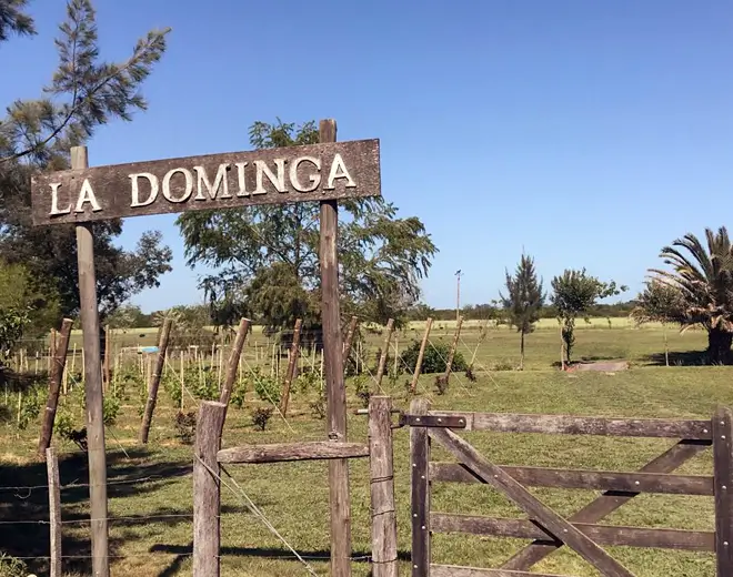 Bodega La Dominga, en Gualeguaychú, Entre Ríos