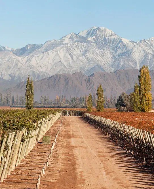 Bodega Norton, Luján de Cuyo, Mendoza