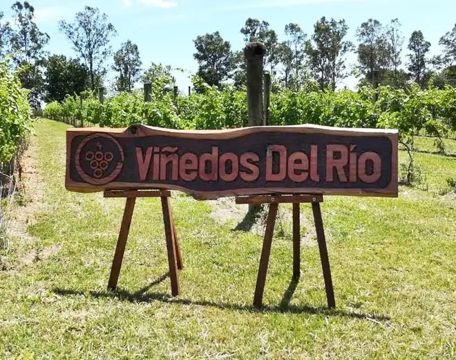 Bodega Viñedos del Río, en Concepción del Uruguay, Entre Ríos