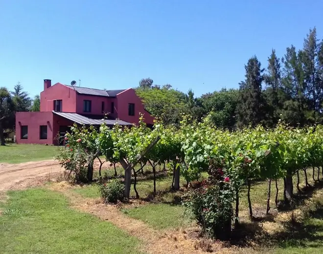 Bodega Vulliez-Sermet, en Colón, Entre Ríos