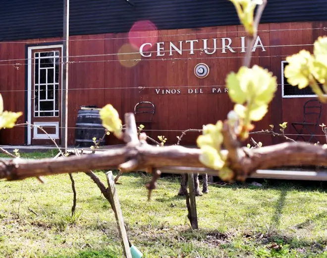 Bodega Centuria, en Paraná, Entre Ríos