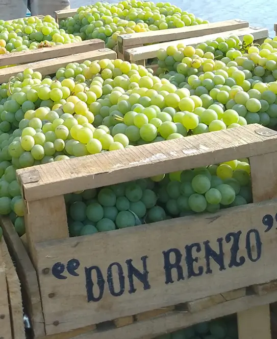 Bodega Don Renzo, en Berisso, Buenos Aires