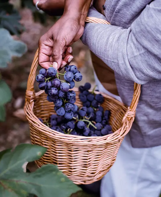 Bodega La Juana Uribe, en Cañuelas, Buenos Aires